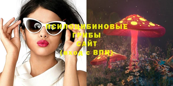 тгк Богородск