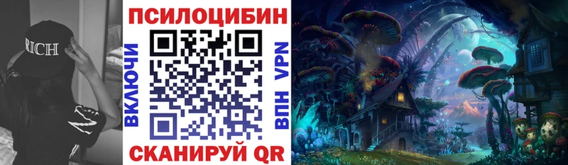 сколько стоит  Цивильск  Псилоцибиновые грибы MAGIC MUSHROOMS 